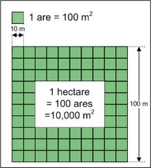 Hectare land size showing 10,000 square meters (100m by 100m)