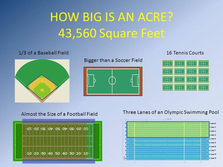 how-many-plots-are-in-an-acre.jpg